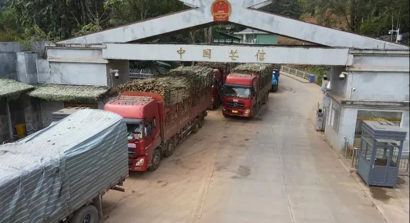 走基层看振兴丨防疫通关两不误孟连口岸进出口贸易实现逆势增长