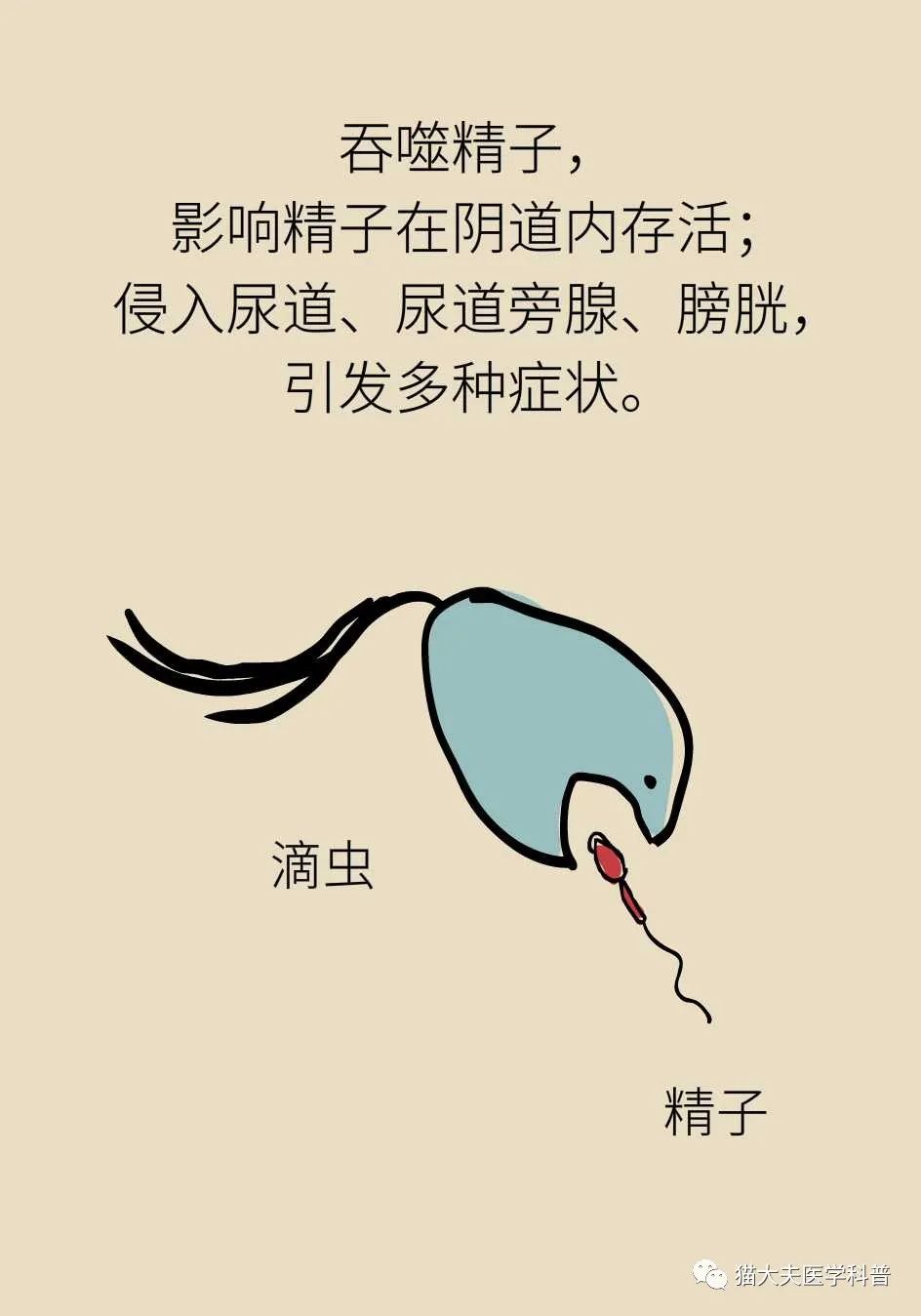 滴虫会传染吗图片