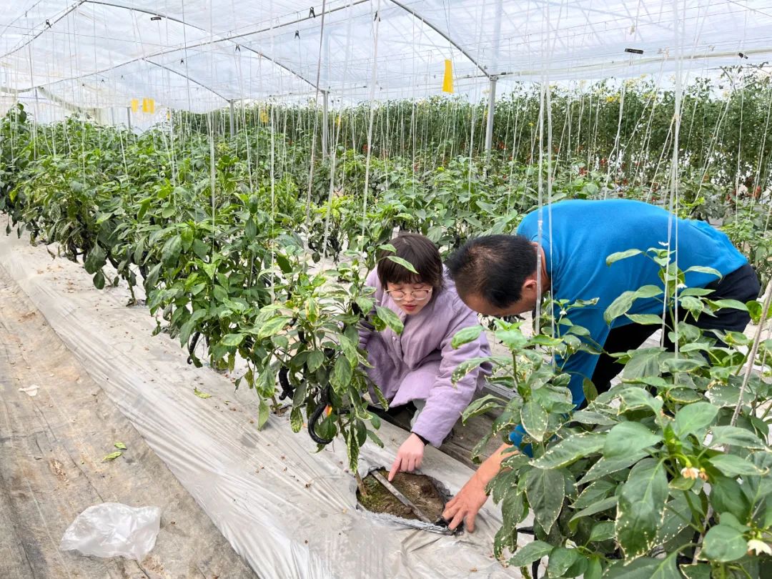 图/文 缪斌斌立春刚过,江西省乐安县气象局连心小分队的驻村干部就