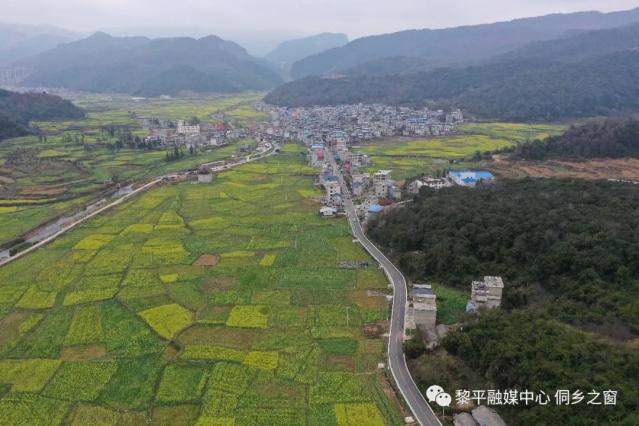 近日,黎平县肇兴镇皮林村的1900余亩的油菜花竞相开