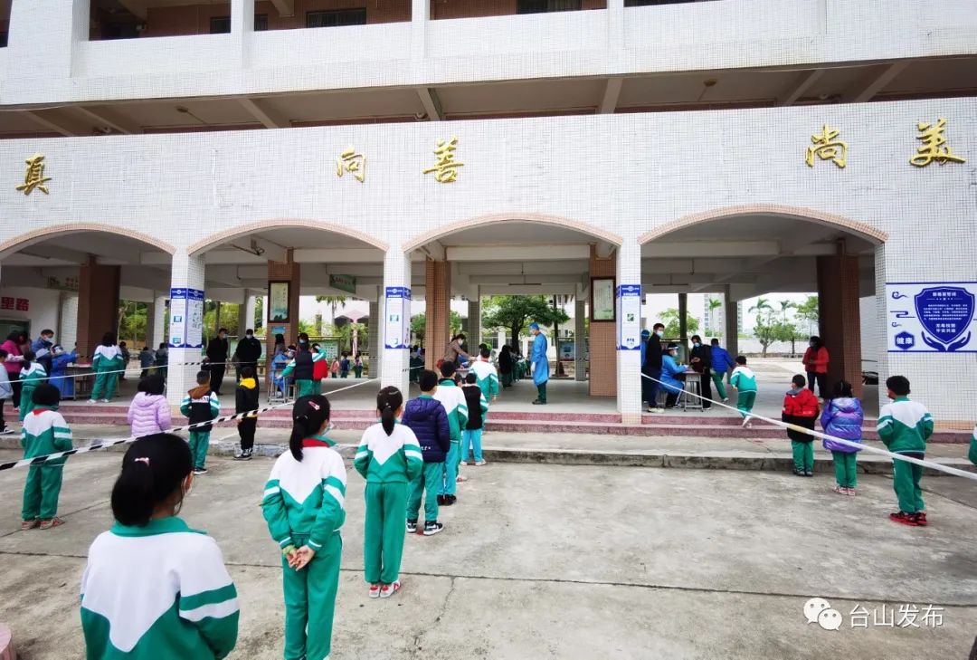 学校准备工作学生有序排队老师扫码录入信息医护人员给学生采样台山