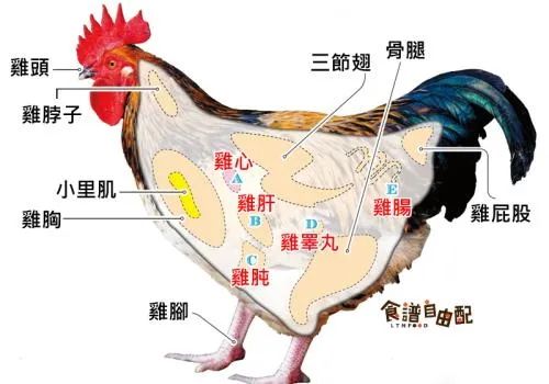 图片来源网络此外,鸡的某些内脏器官会有有毒物质的残留,尽管鸡胗