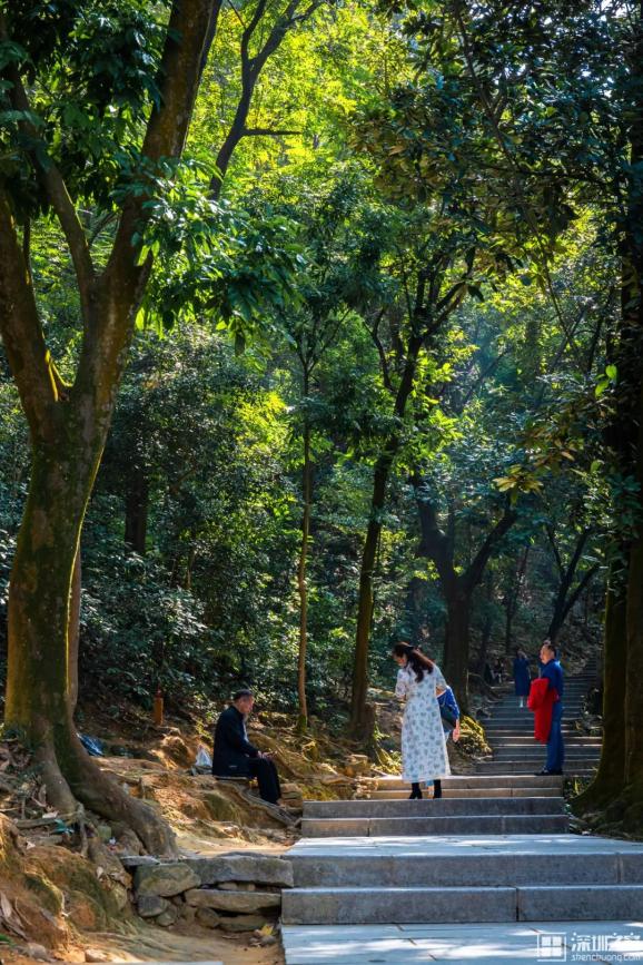 深圳姻缘山藏着600年历史姻缘古庙