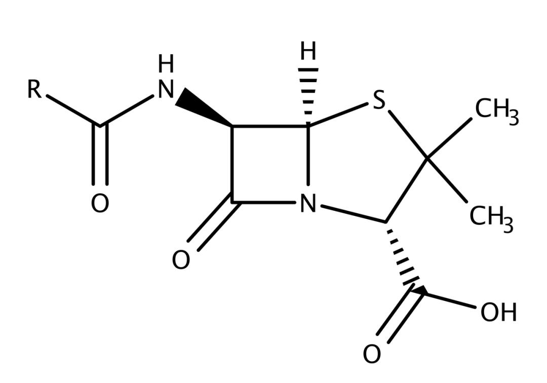 抗生素药物解读青霉素你会用吗