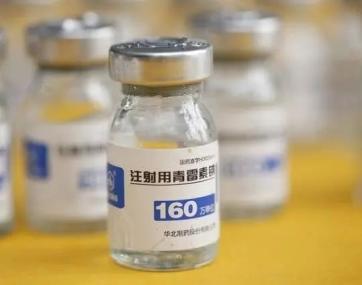 抗生素药物解读青霉素你会用吗