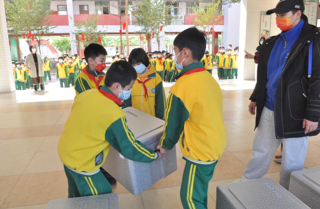 配餐进校园解决午饭难直击开平市启动中小学集中配餐首日