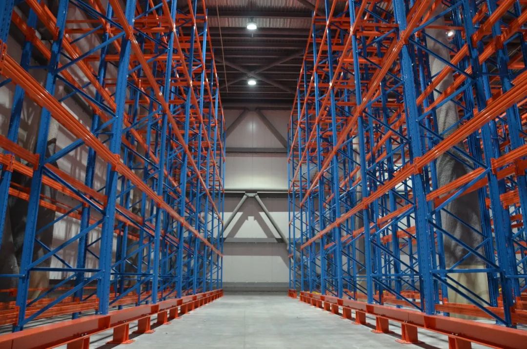 可别小看这些货架它们比普通货架能增加一倍的存货量装卸员穿梭在冷库