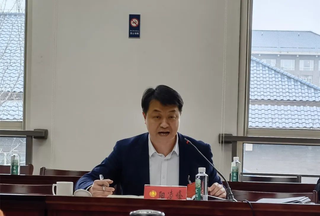 02 阳凌峰——杭州未来研创园创始人,浙江正淘科技有限公司总经理政府