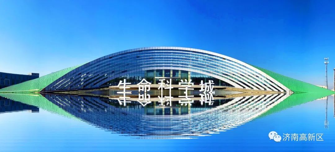 济南高新区生命科学城里的济南药谷产业园,如今已全部竣工投产,引进10