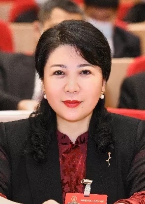 杨莹代表用法治让民营企业安心定心