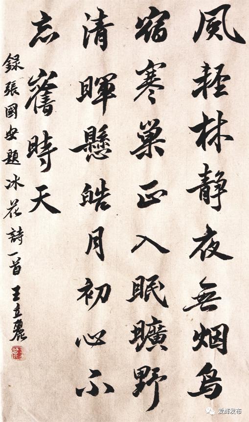 漳浦张国安书法图片