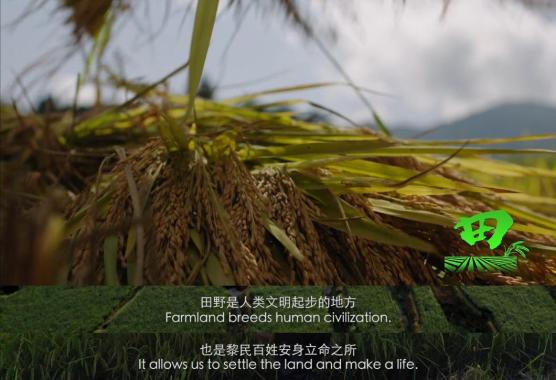 什么什么天成与共什么的生态文明 共建地球生命共同体_https://www.jmylbn.com_新闻资讯_第1张