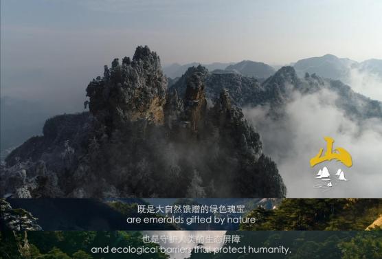 什么什么天成与共什么的生态文明 共建地球生命共同体_https://www.jmylbn.com_新闻资讯_第4张