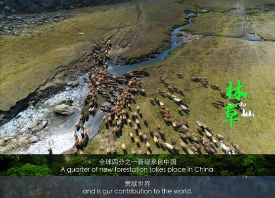 什么什么天成与共什么的生态文明 共建地球生命共同体_https://www.jmylbn.com_新闻资讯_第5张