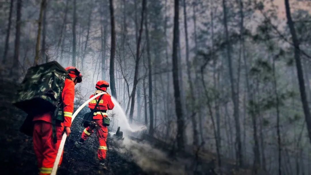情人节最美消防嫂的告白有你的地方便是家