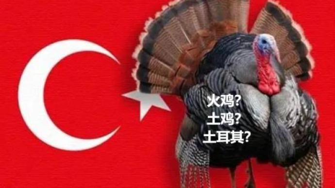 再见“土鸡”，土耳其英文名将从Turkey改为Turkiye？