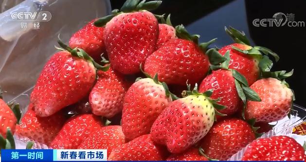 歌曲大辩子甩三甩原唱_樱桃一斤直降30元_水果车卖水果可以吗