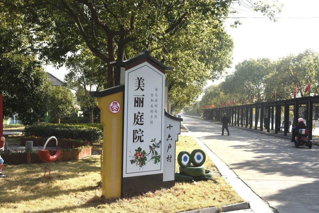 美丽庭院美美与共走进余姚黄家埠镇十六户村欣欣花园美丽庭院特色带