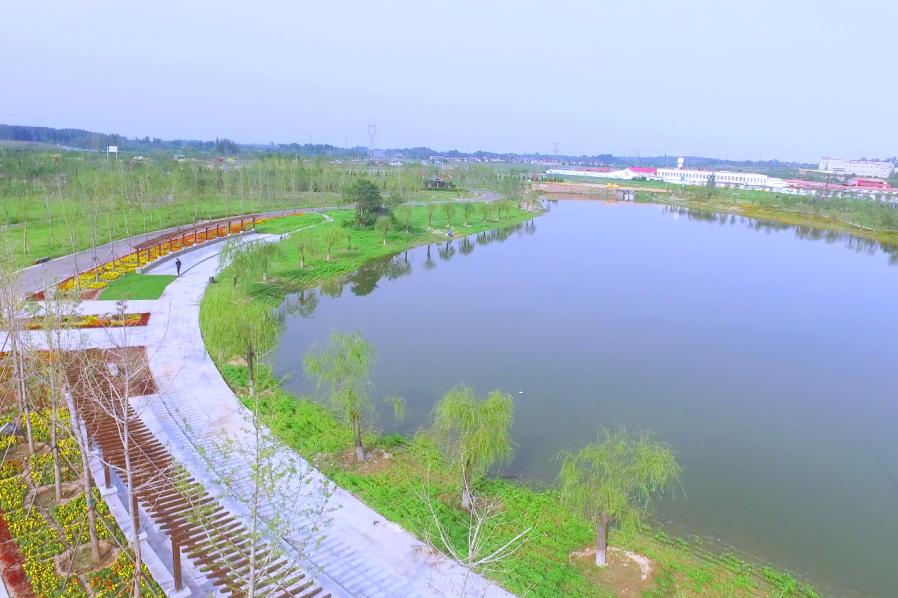面积130万平方米滨湖生态湿地公园位于成峰路东侧滨湖生态湿地737
