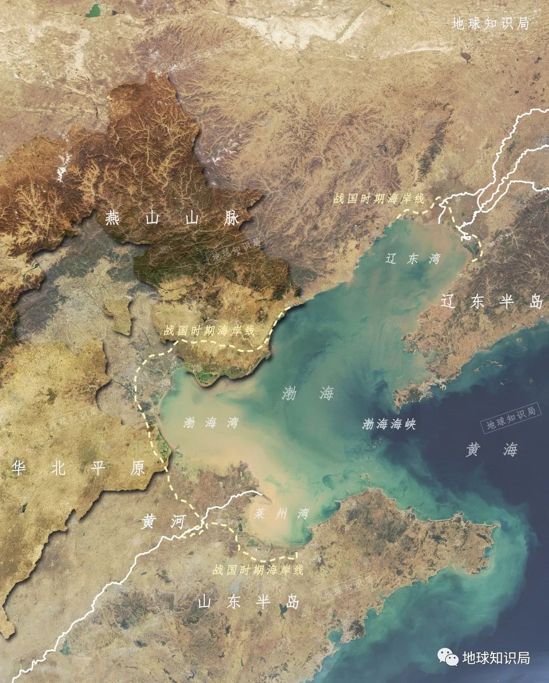 渤海地形图图片