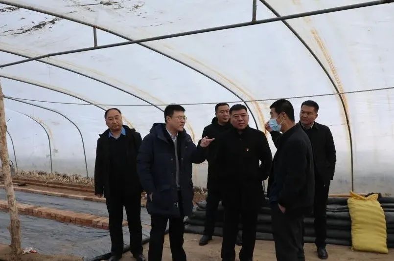 林彦章调研乾安县备春耕生产工作