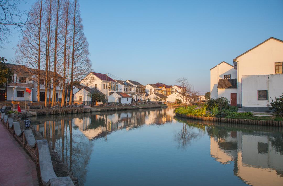 金山这里现代化田园牧歌的生活是你向往的吗