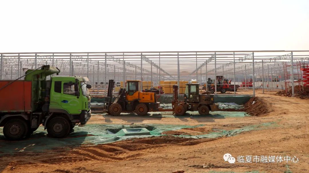 大幹快上臨夏市百益億農國際鮮花港建設項目吹響開工衝鋒號