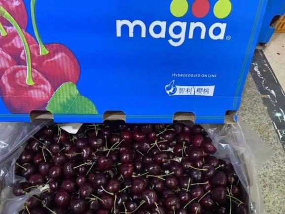 车厘子宜宾同城配送核酸检测合格拉宾斯3j加大纯冰3j智利进口车厘子