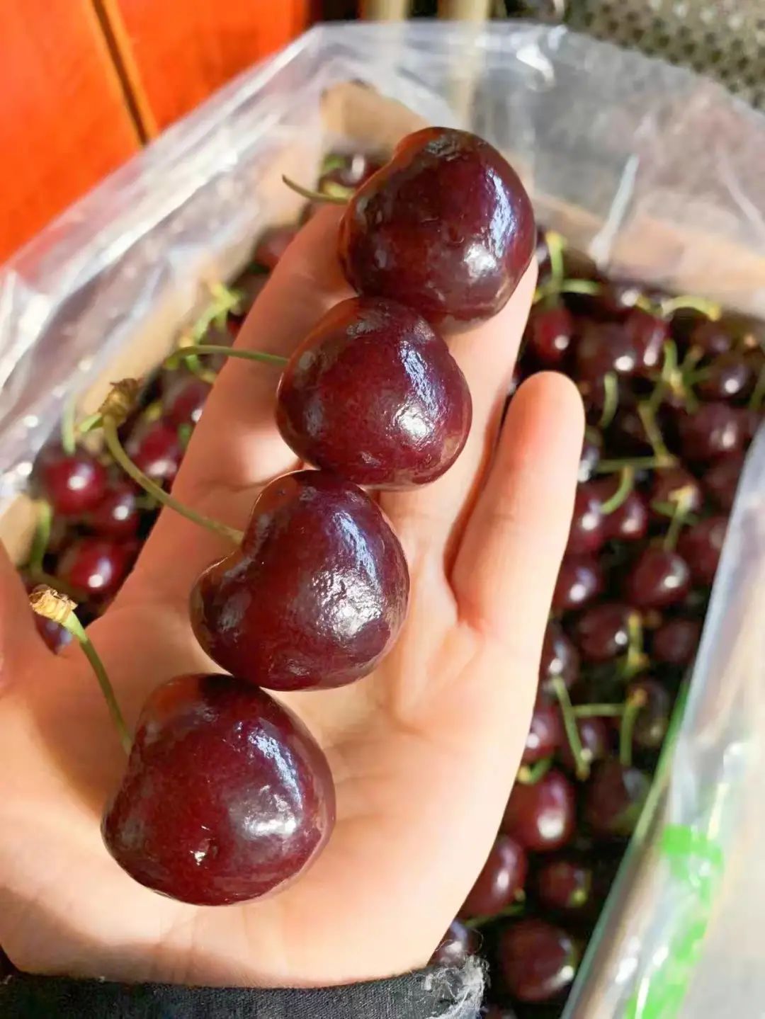 车厘子宜宾同城配送核酸检测合格拉宾斯3j加大纯冰3j智利进口车厘子