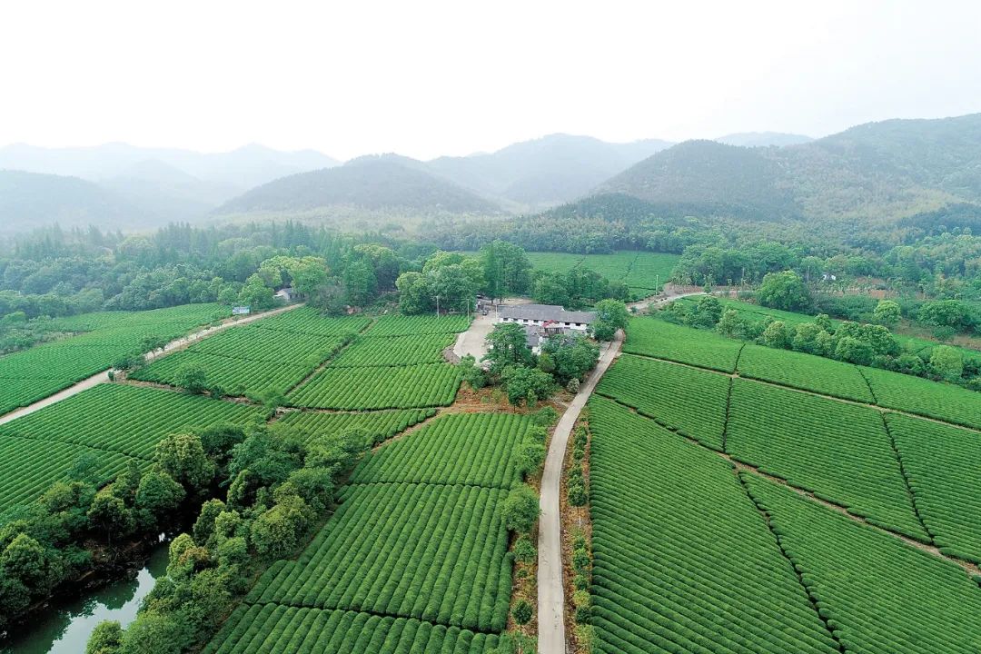 浙江省湖州市长兴县林场干部职工深入学习贯彻党的十九届六中全会精神