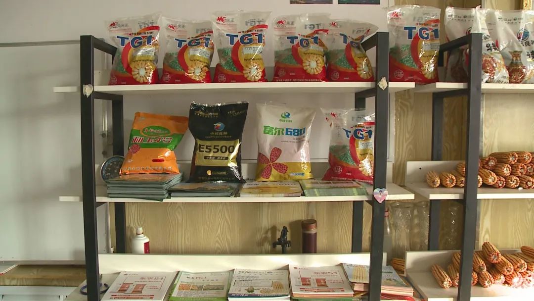 我市种子市场陆续开市