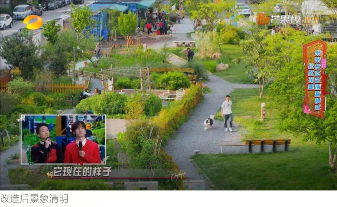 五角场创智农园上电视啦这次是天天向上