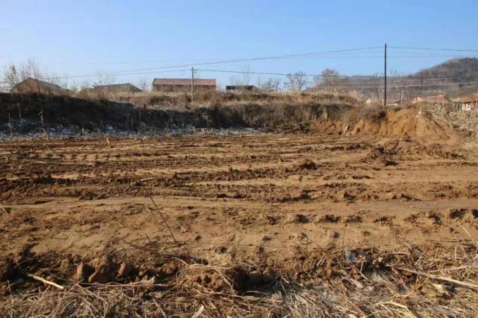 我为群众办实事富县张村驿镇废弃大棚被拆除闲置土地再利用
