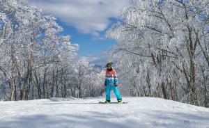 去长野滑一场春雪，昼长、人少、景美
