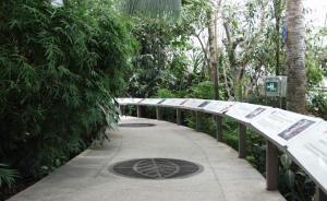 “姥爷温室”重开了，这里曾是新中国首个热带亚热带植物展室