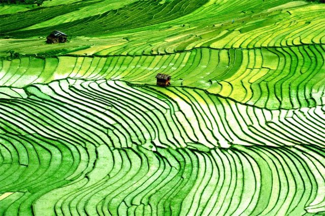 波光粼粼流光溢彩春天的鄂嘉梯田美如画