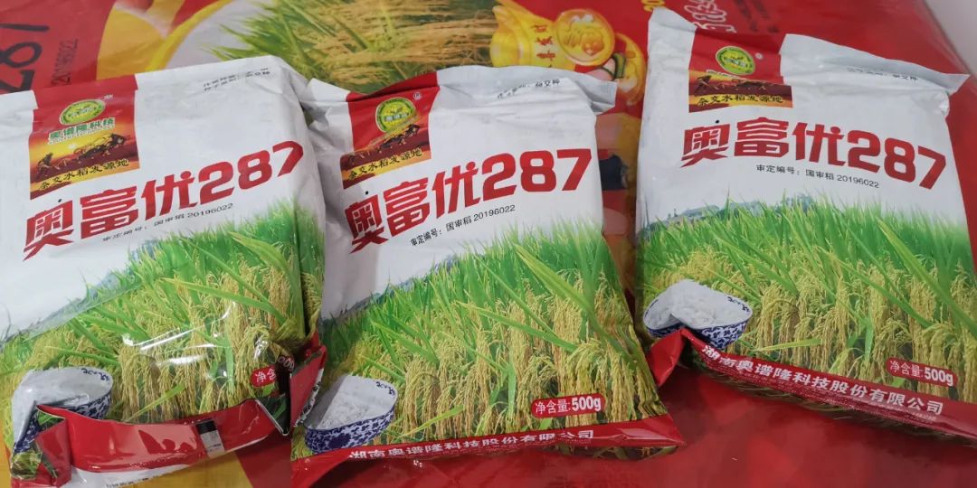 民生平坝区免费发放优质稻种子助力春耕备耕