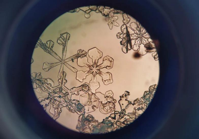 显微镜雪花图片图片