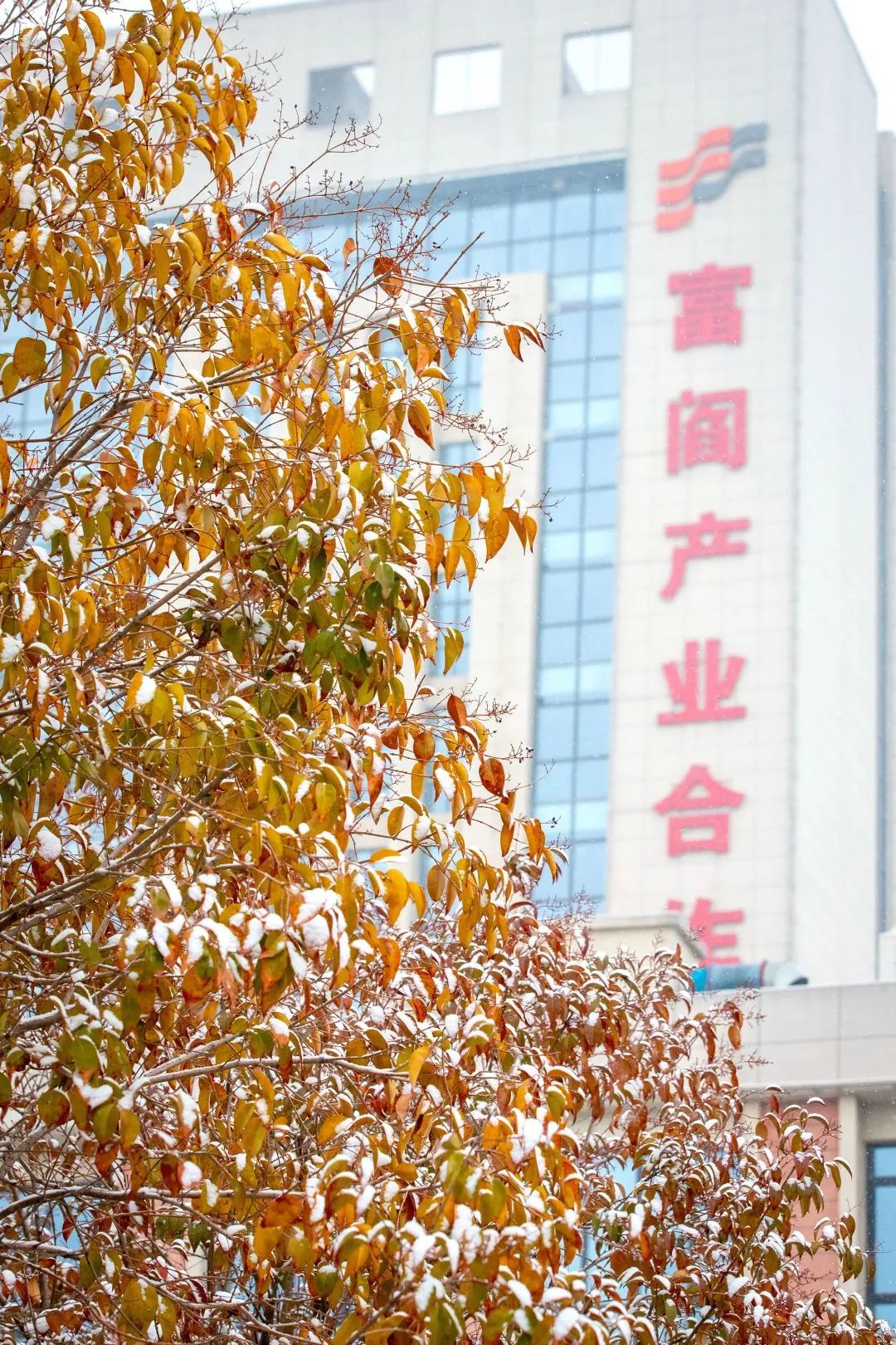 富阎新区一季度集中开工项目一览