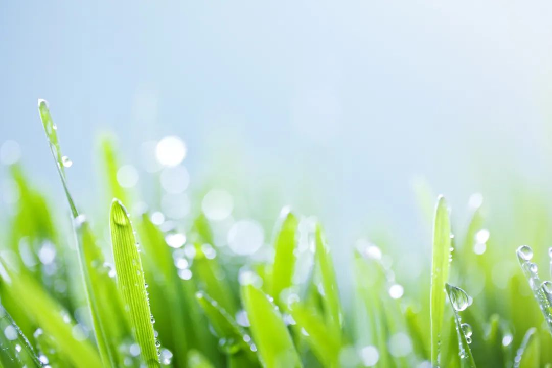 今日雨水春雨润物细无声消防安全莫放松