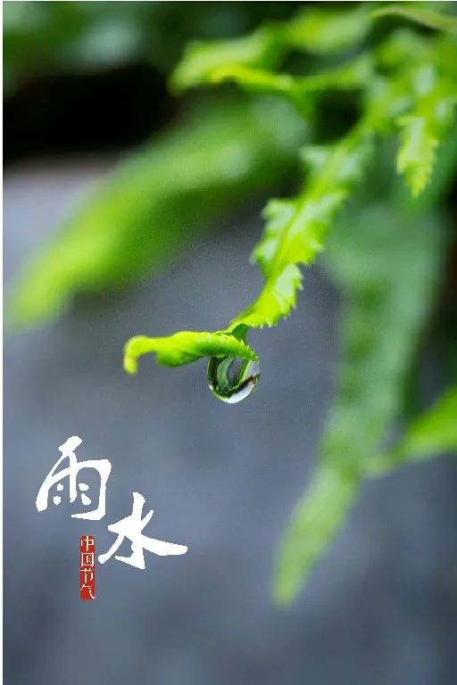 雨水,春风拂面,阳光和煦,一朝新雨,洗净人间.来源