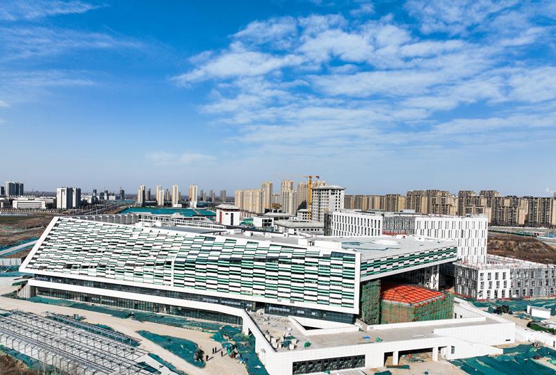 献礼党代会聊城市一校三馆初见雏形