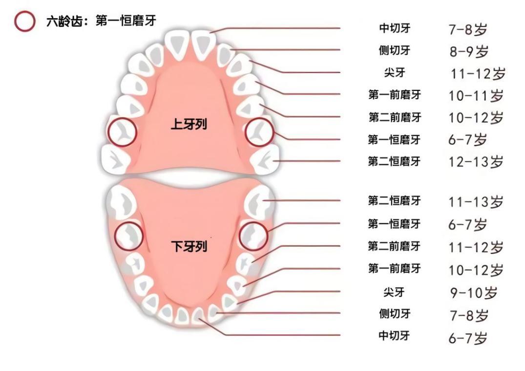 娃3岁了还没给做窝沟封闭
