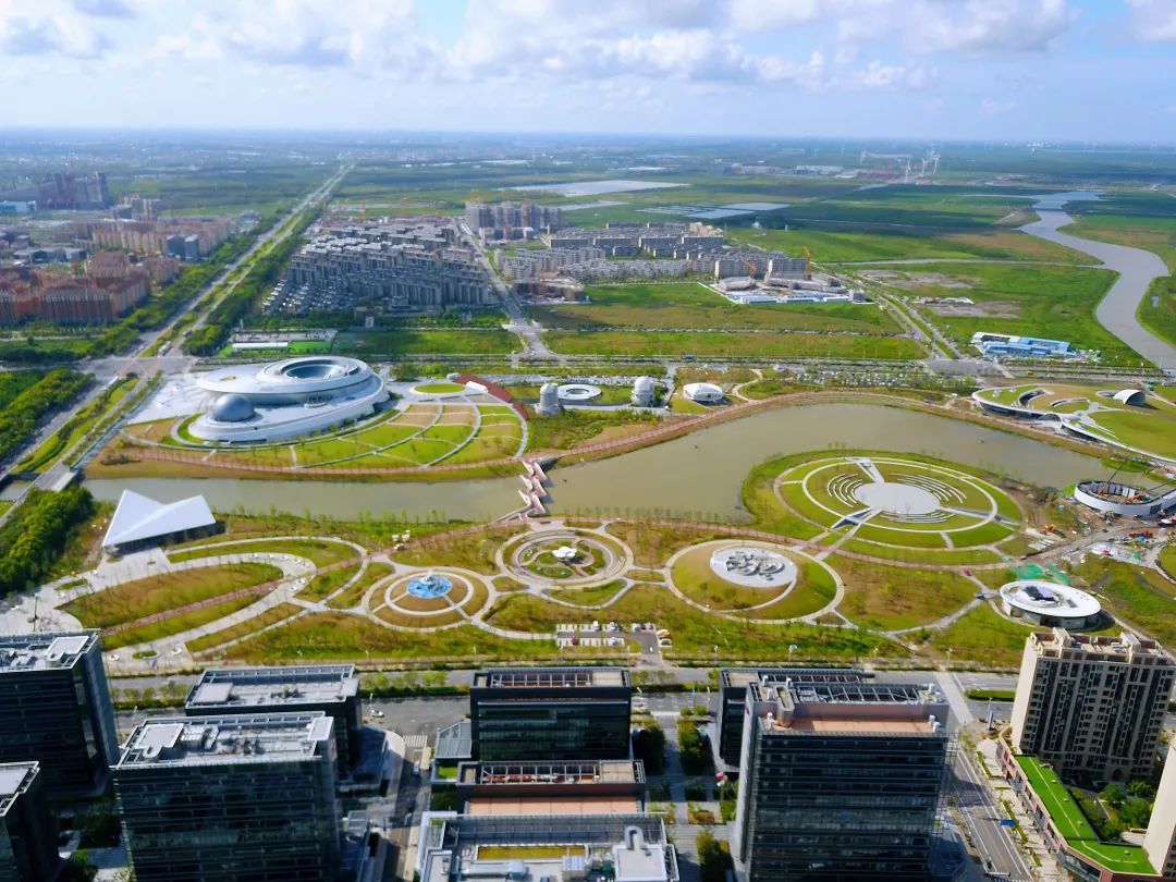 新闻联播报道中建八局临港新片区建设进度单大揭秘