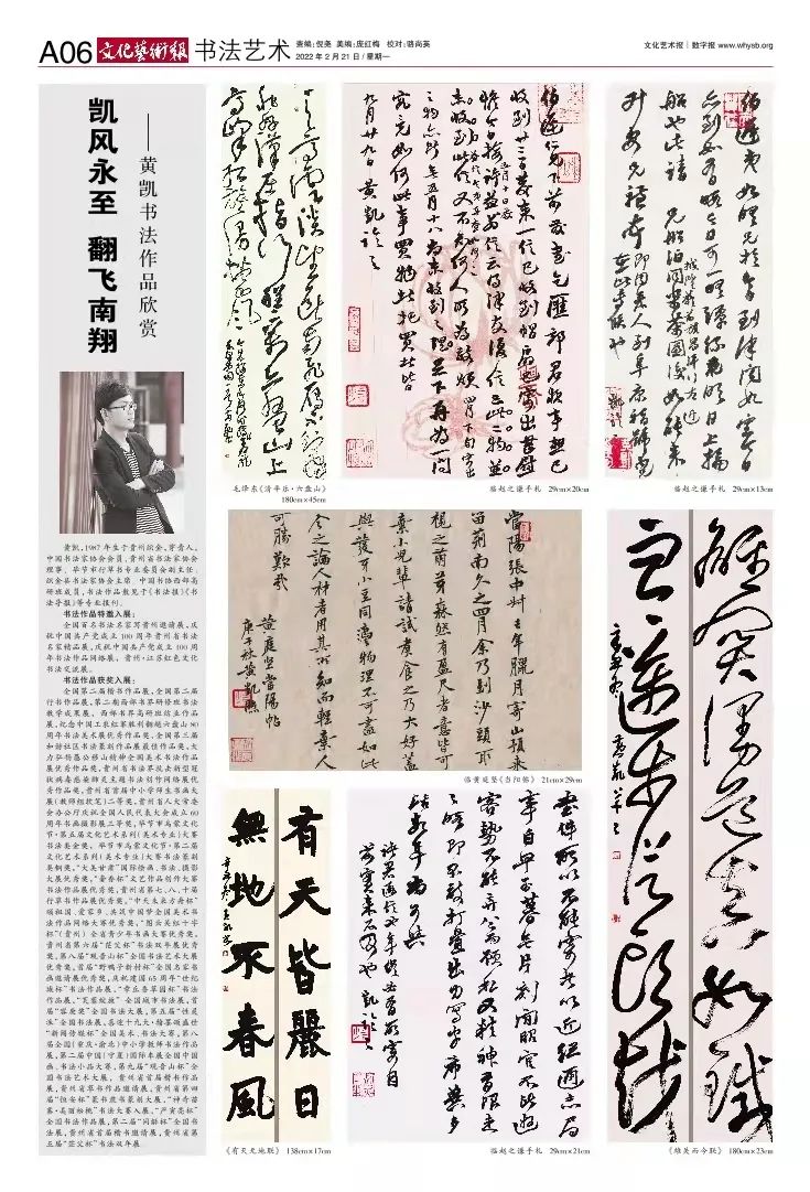 凯风永至翻飞南翔黄凯书法作品欣赏