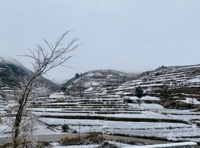 最低温低于0我州这些地方下雪啦朋友圈被美景霸屏