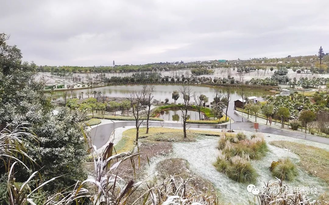 2月20日早晨,太平湖森林小鎮下起了雪.