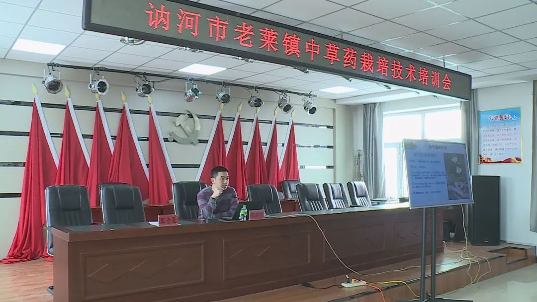 老莱镇举办农作物高产栽培技术培训