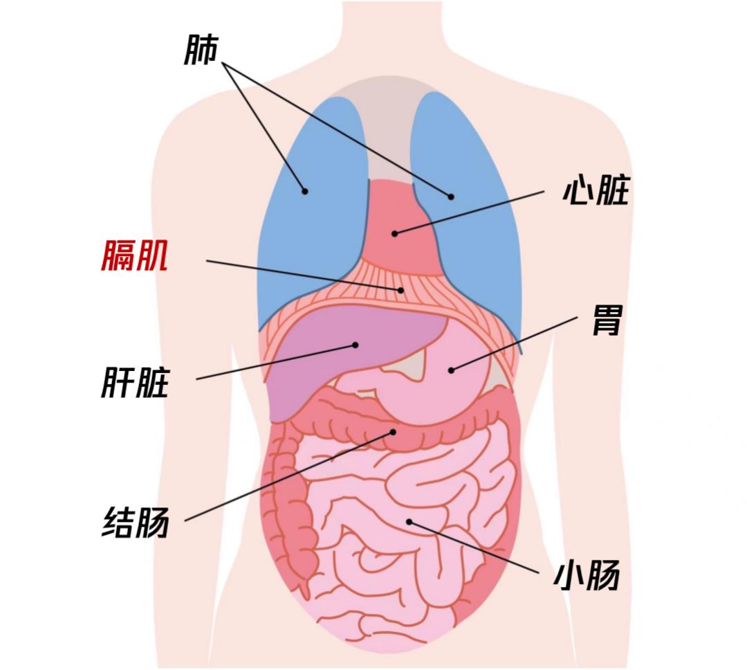 膈疼是什么原因图片