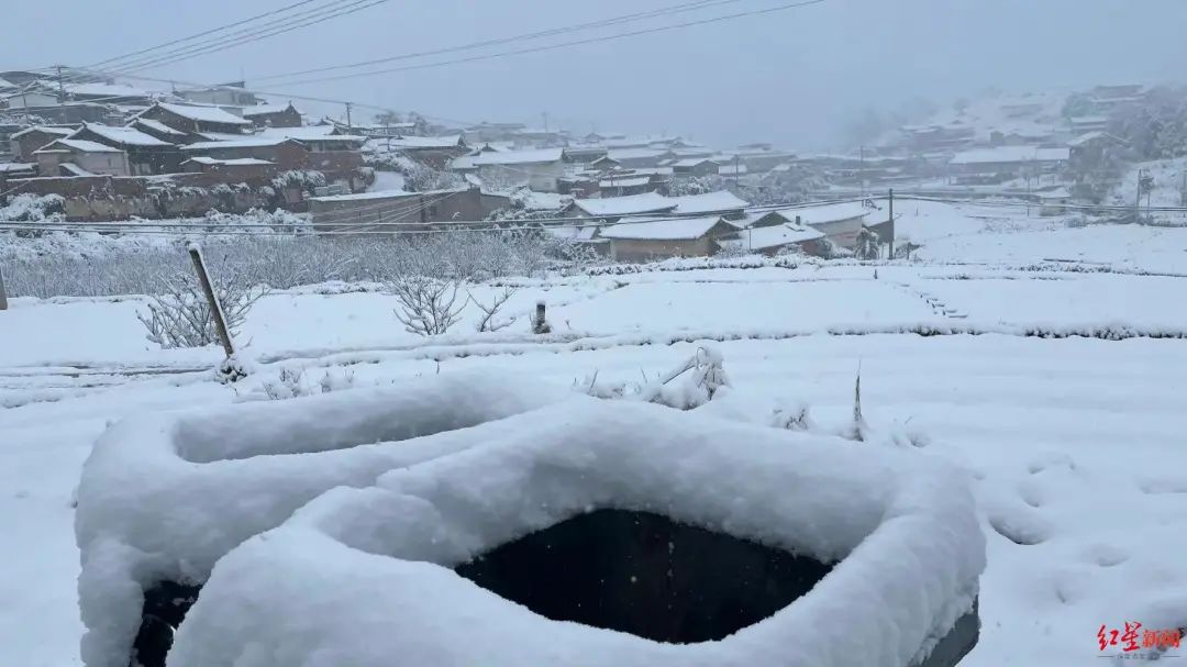 盆地小三亚又下雪了